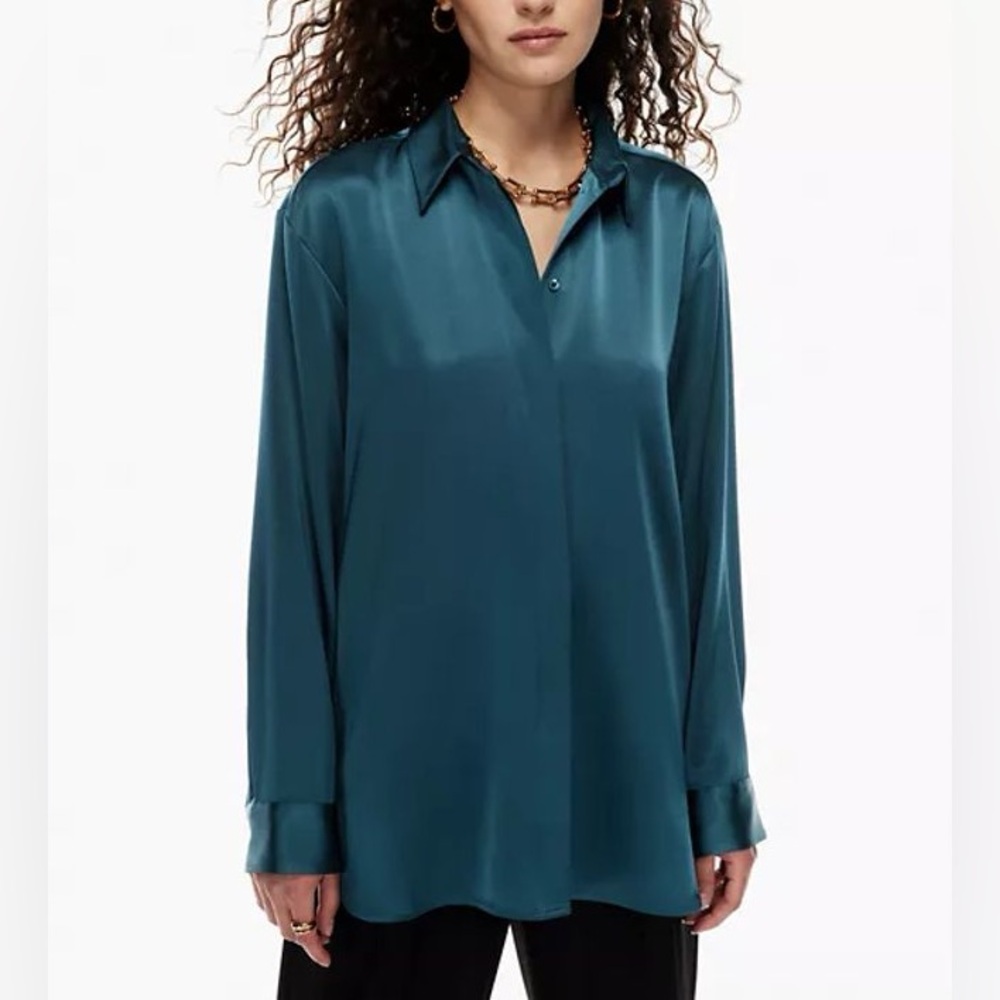 Aritzia Babaton Sable Satin Blouse